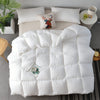 Plush Winter Duvet - For Ultimate Comfort & Warmth